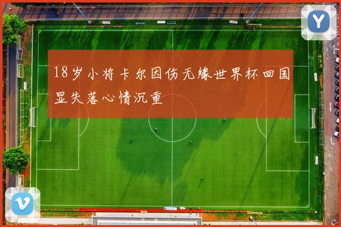 18岁小将卡尔因伤无缘世界杯回国显失落心情沉重