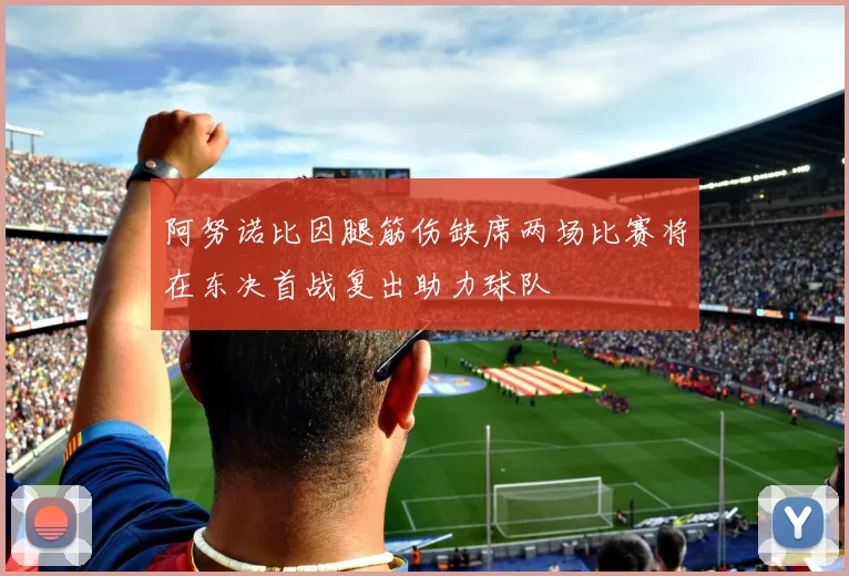 阿努诺比因腿筋伤缺席两场比赛将在东决首战复出助力球队