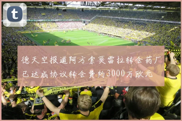 德天空报道阿方索莫雷拉转会药厂已达成协议转会费约3000万欧元